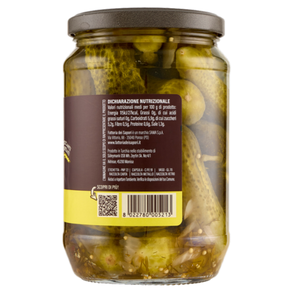 Fattoria dei Sapori Cetrioli in Agrodolce 670 g