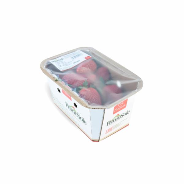 FRAGOLE MADE IN LUCANIA 500G.