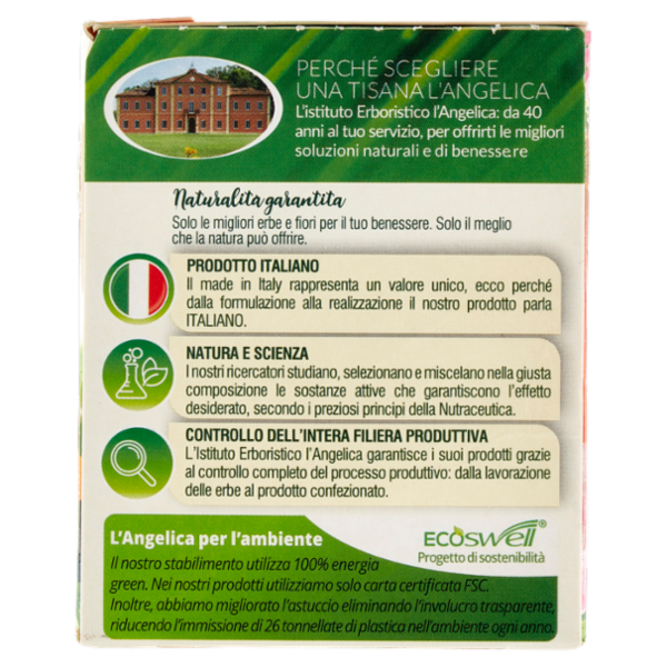 L'Angelica Le Tisane Supporto Immunitario Active 18 Filtri 27 g