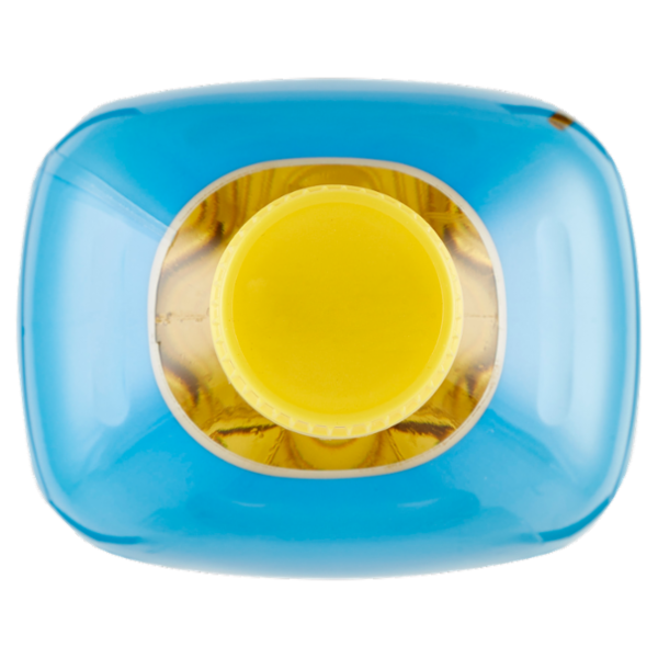 Consilia Olio di Semi Vari 1 L