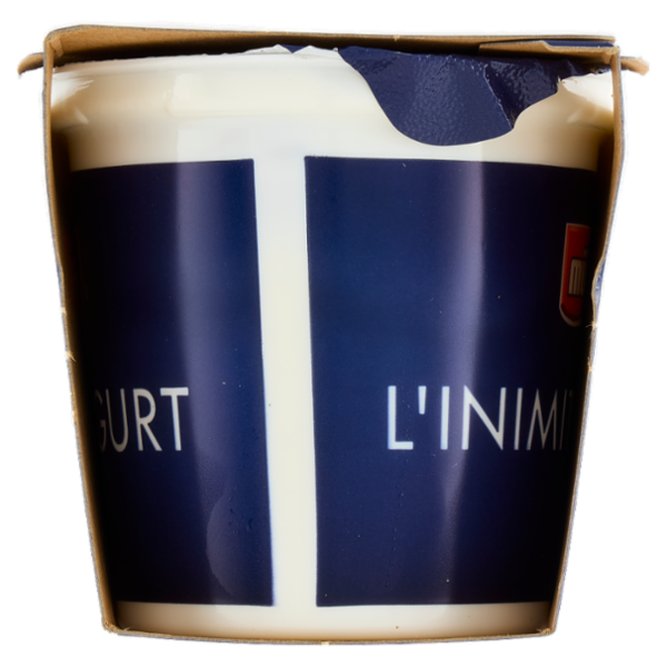 müller Bianco Crema di Yogurt 2 x 125 g