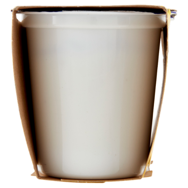 Centrale del latte Vicenza Yogurt Goloso Intero Pistacchio 2 x 125 g