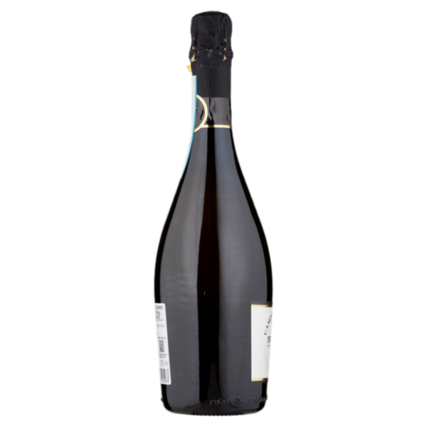Campo del Passo Prosecco DOC Extra Dry 0,75 l