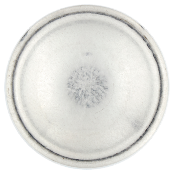 nuncas Soffio di Cielo Neutralizza Odori Fragranza di Talco 250 ml