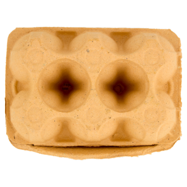 IL GIGANTE 6 Uova da allevamento a terra Pasta Gialla 330 g