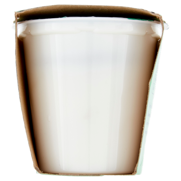 Arborea Yogurt Zero Grassi Ananas in pezzi 2 x 125 g