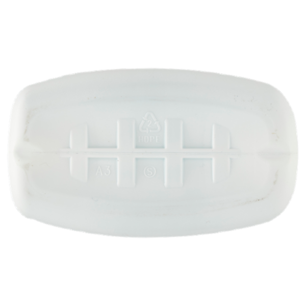 Citrosil Home Protection Detersivo Igienizzante Eucalipto 30 Lavaggi 1500 ml