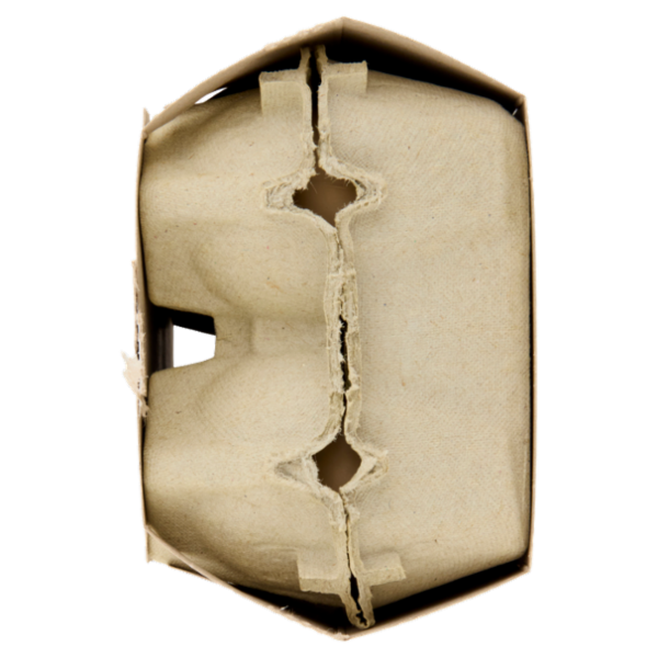 Consilia 6 Uova Fresche di Vario Calibro Biologiche