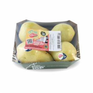 PERE WILLIAMS IGP OPERA GR.650