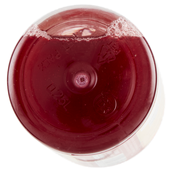 Podere Cittadella Kefir d'Acqua Infuso Frutti Rossi Mirtillo, Sambuco, Ribes & Rosa Canina 250 ml