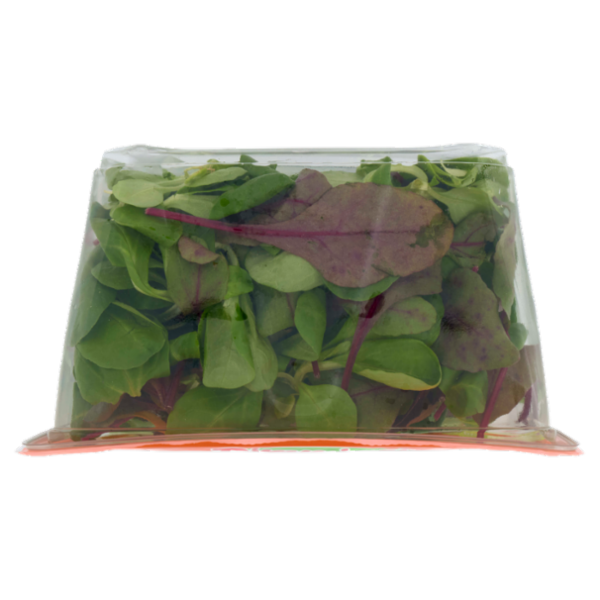 DimmidiSì Smart! La Vaschetta Intelligente Valeriana & Bull's Blood 140 g