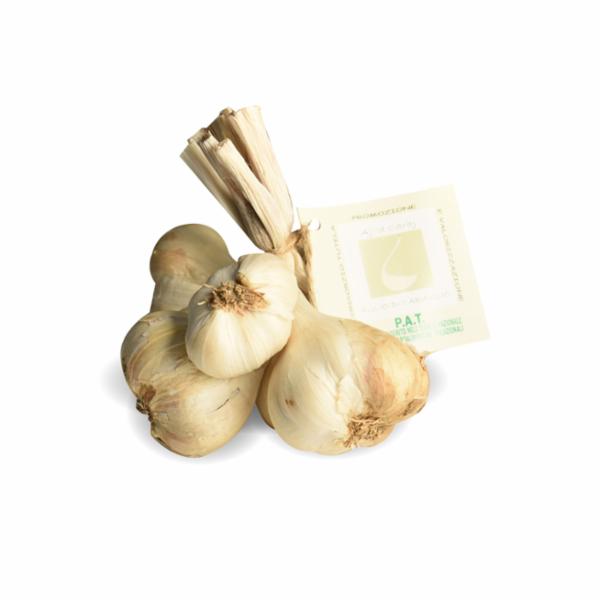 AGLIO CARAGLIO PIEMONTE
