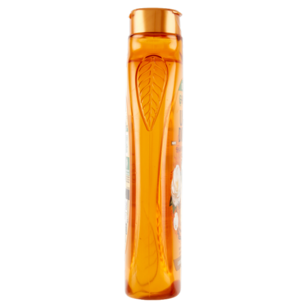 Garnier Ultra Dolce Shampoo Meraviglioso all'olio d'argan e di camelia per capelli secchi, 300 ml