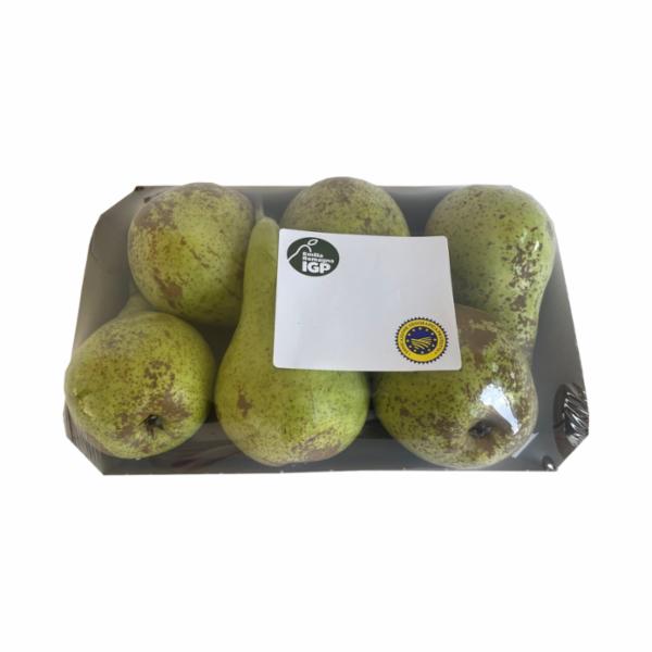 Pere Conference Igp Gr. 800