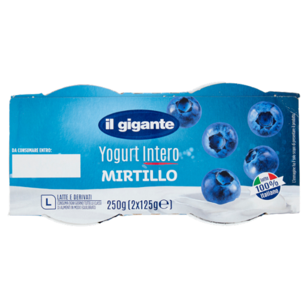 IL GIGANTE Yogurt Intero Mirtillo 2 x 125 g