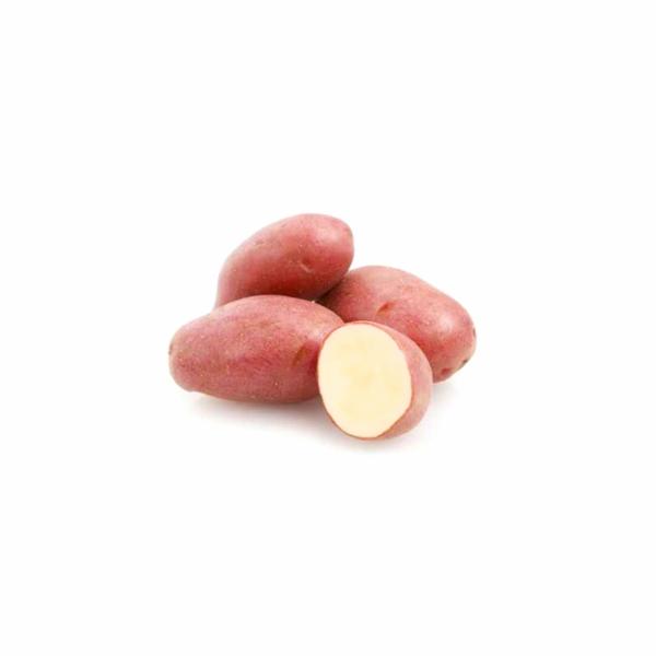 Patata Robertina Rossa Kg 2