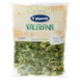 IL GIGANTE le Insalate Valeriana 180 g