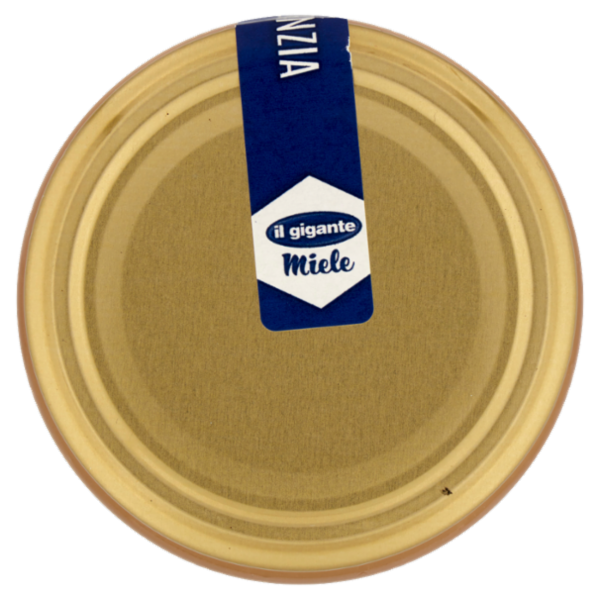 IL GIGANTE Miele di Agrumi 500 g