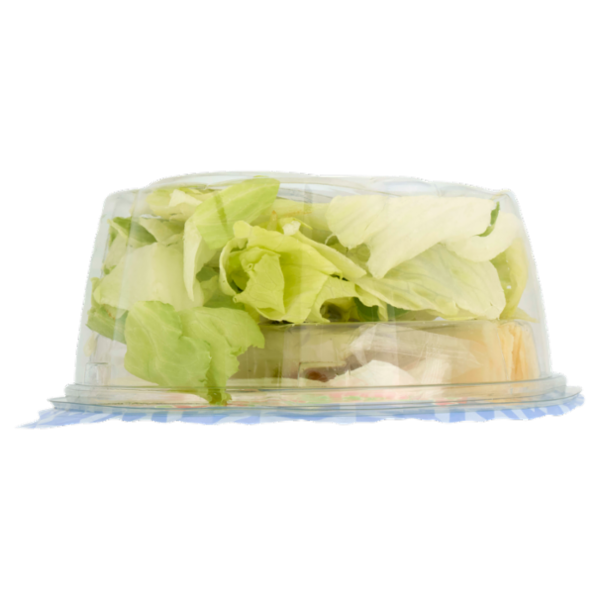 DimmidiSì Piatto unico goloso Cesar Sala con Grana Padano 180 g