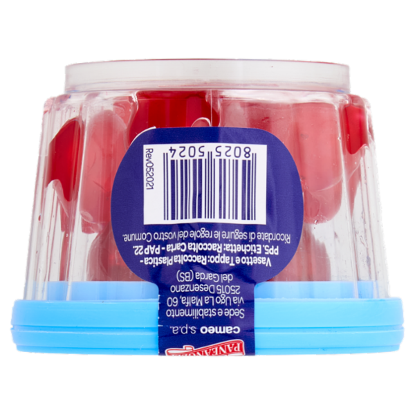 PANEANGELI decora con Ciliegie candite 70 g