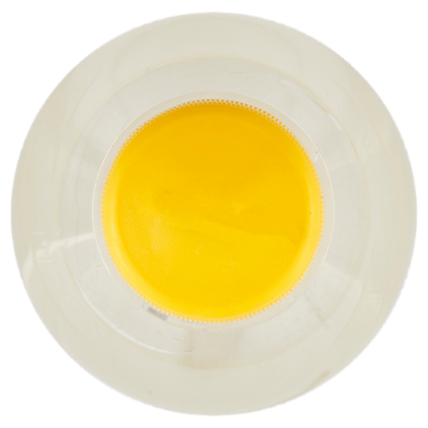 Schweppes Ginger Beer PET 0,5 L