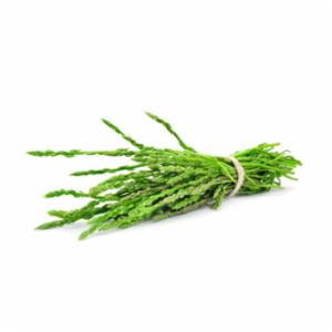 Asparagi Selvatici Italia