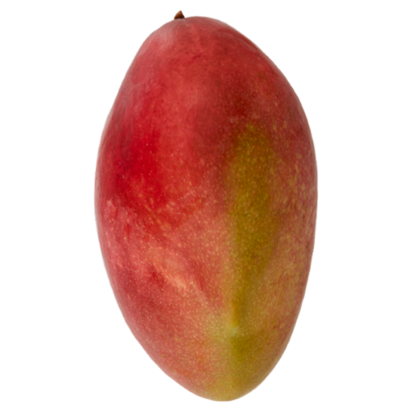 Selex Saper di Sapori Mango 380 g