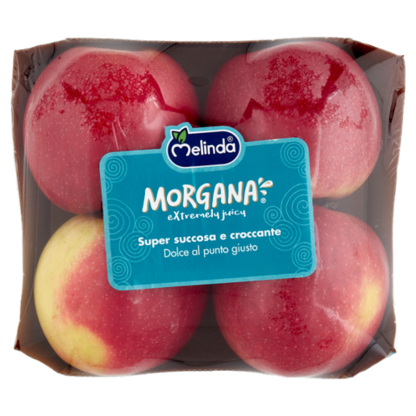 Melinda Morgana 0,900 kg