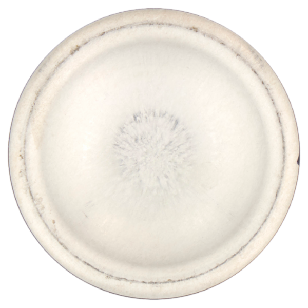 Nivea Men Deep Darkwood Anti-Perspirant 150 ml