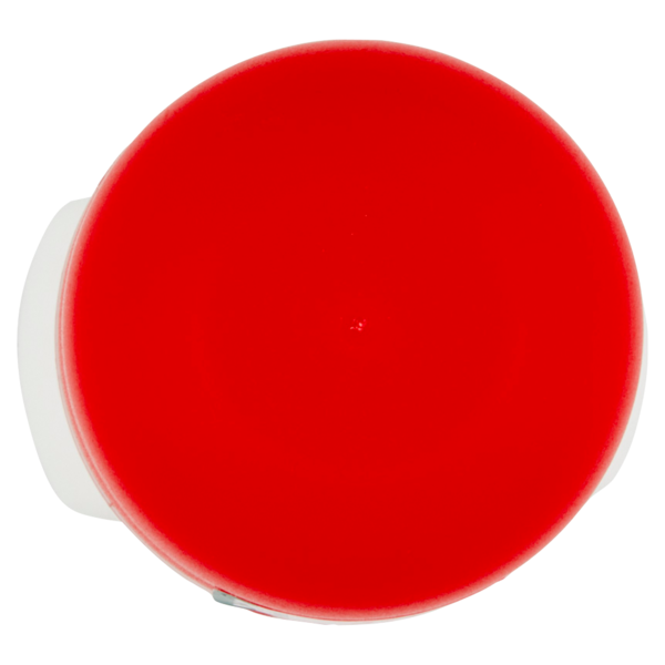 Borotalco Intensive Profumo di Borotalco Deo Roll On 50 ml