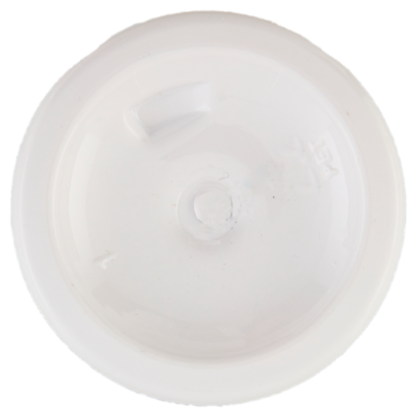 Naturaverde Upcycling mirtillo Mousse Detergente Viso 100 ml