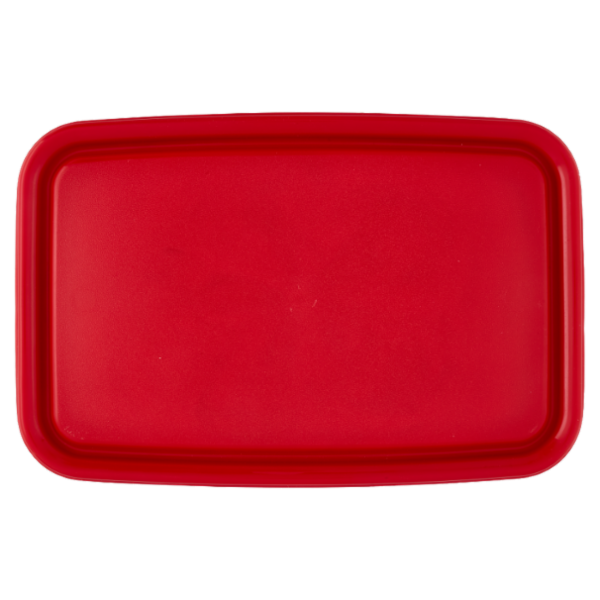 Selex Contenitore per Alimenti Freezer/Frigo Rettangolare 4,50 L