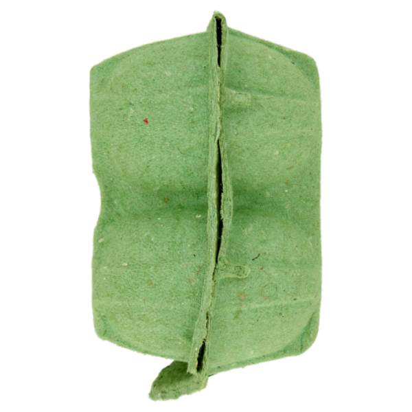 Aia Biologiche 6 Uova Fresche da allevamento Biologico 330 g