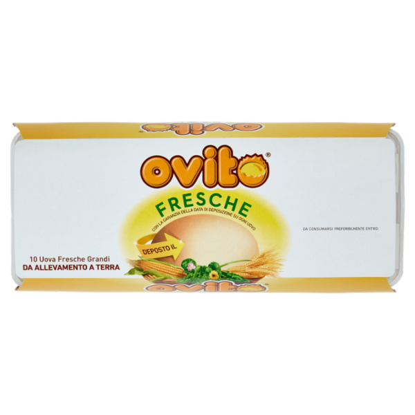 Ovito Fresche 10 Uova Fresche Grandi da Allevamento a Terra