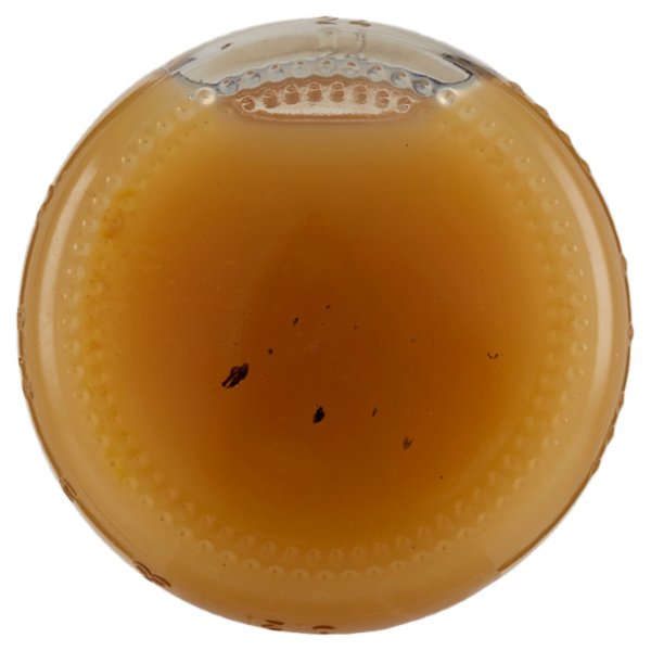 alce nero Succo di Mela 200 ml