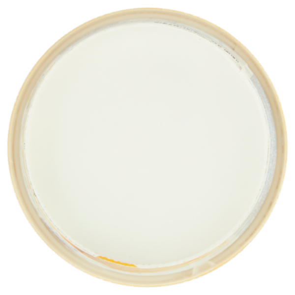 Kri Kri Frozen yogurt Greco Miele 320 g