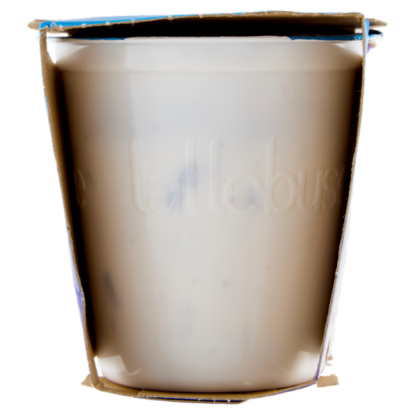 lattebusche yogurt Stracciatella 2 x 125 g