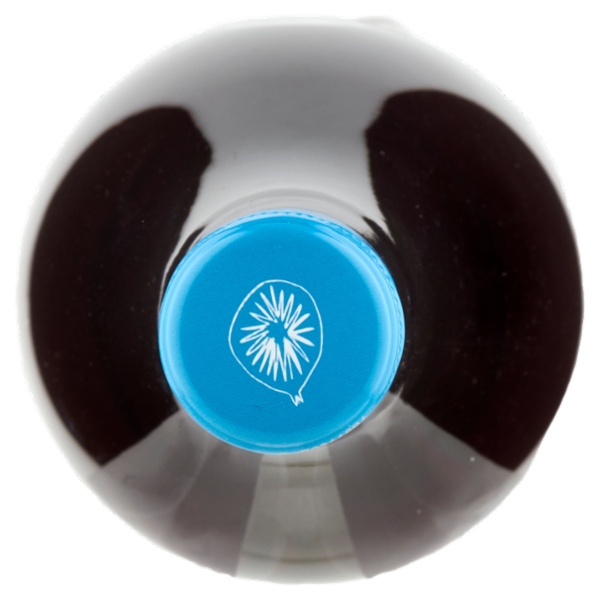 Fichimori il Vino Rosso Freddo Salento I.G.T. 750 ml