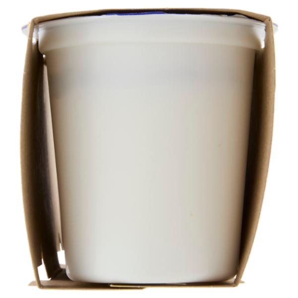 Centrale del latte Vicenza Yogurt Goloso Intero Bianco Dolce 2 x 125 g
