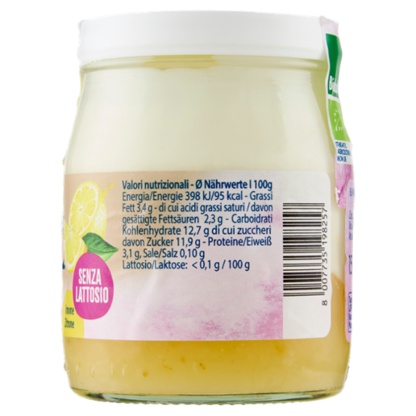 Sterzing Vipiteno bio yogurt da Latte fieno limone Senza Lattosio 150 g