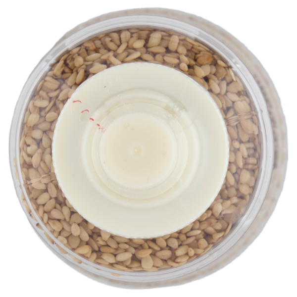 Biyori Semi di sesamo bianco tostati 100 g