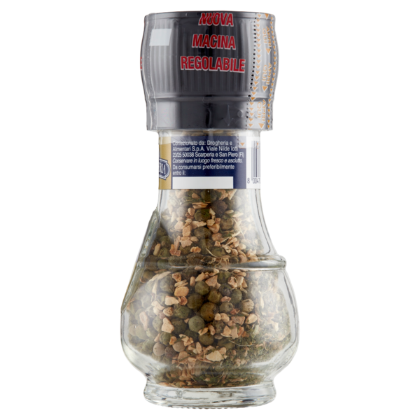 La Drogheria 1880 Sapori Creativi Pepe Verde & Zenzero 36 g