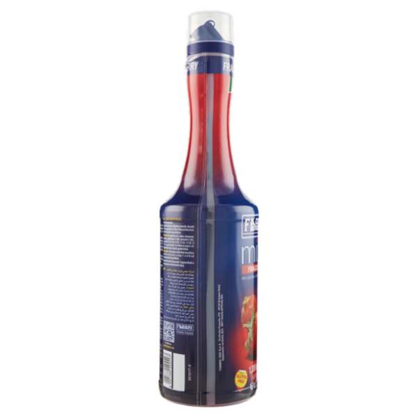 Fabbri mixy Fruit Fragola 1 L