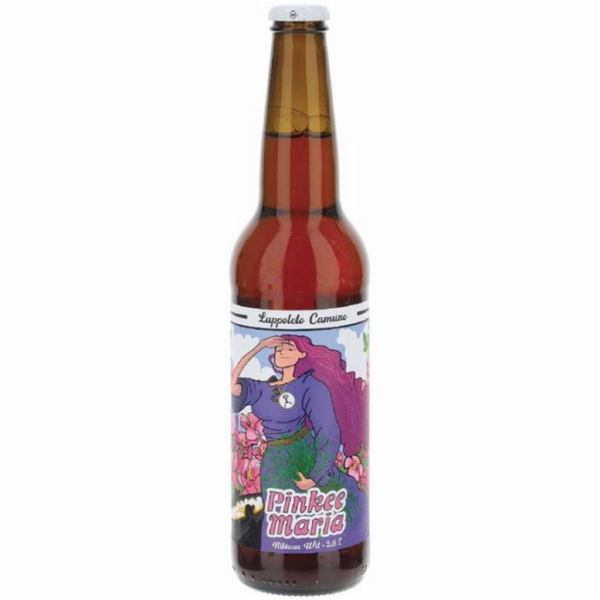 Luppoleto Camuno Birra Pinkee Maria 500ml