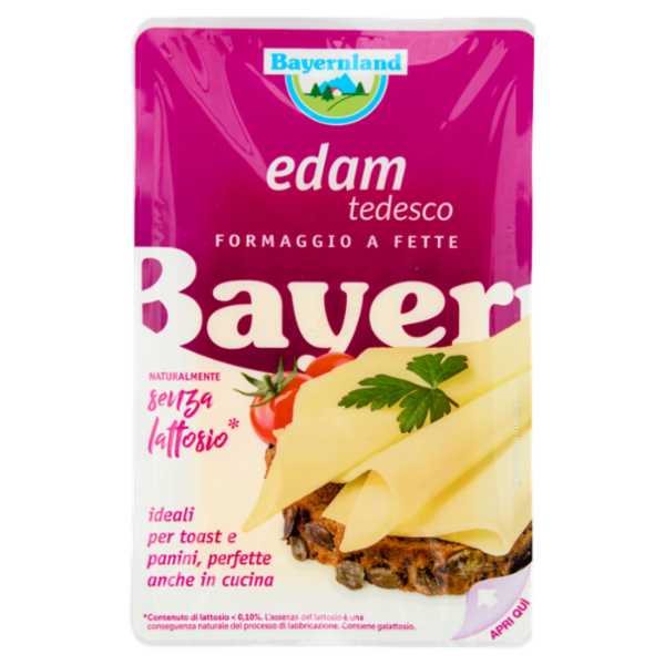 Bayernland edam tedesco Formaggio a Fette 100 g