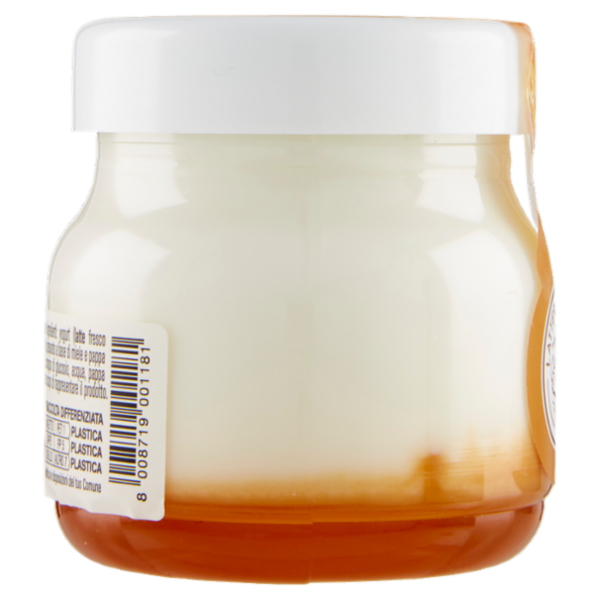 AlpiYò Yogurt di Valtellina Intero con Miele e Pappa Reale 125 g