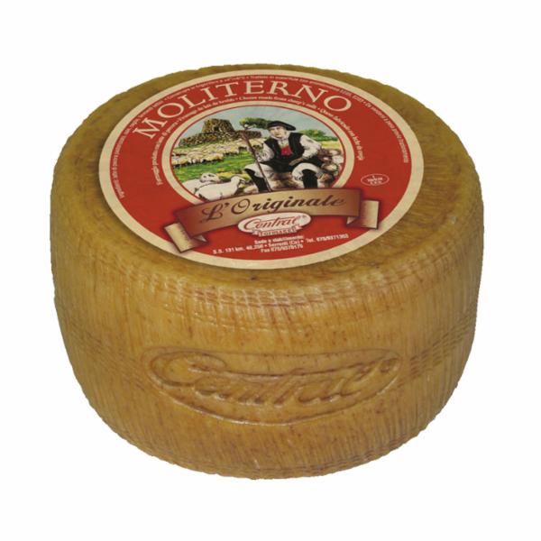 Pecorino Moliterno