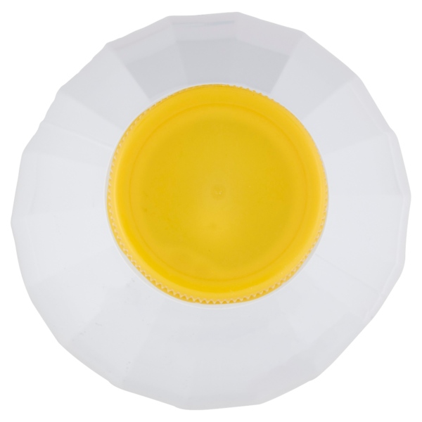 Granarolo Latte Più Giorni Intero 1 L