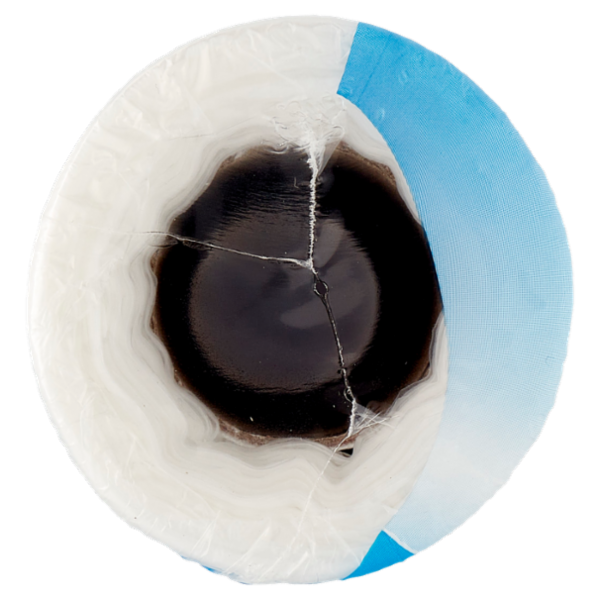 virosac FrigoPiù Freezer e Frigo 23x32 2,5l 180 pz