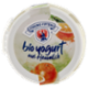 Sterzing Vipiteno bio yogurt da latte fieno arancia 150 g